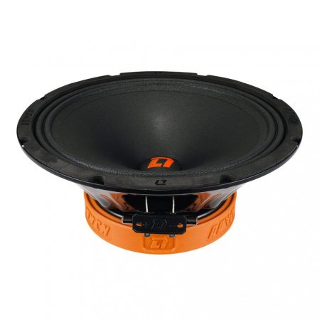 DL Audio Raven 250 V.2 Среднечастотник (среднечастотный динамик) – цена, описание и отзывы — фото