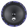 DL Audio Piranha 200