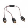 Dynamic State RCC-1M2F