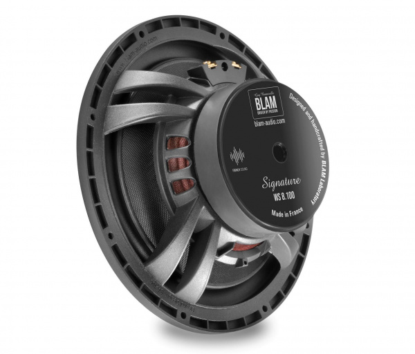Blam S 200.100A 2-х компонентная акустика – цена, описание и отзывы — фото
