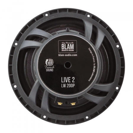 Blam L200P 2-х компонентная акустика – цена, описание и отзывы — фото