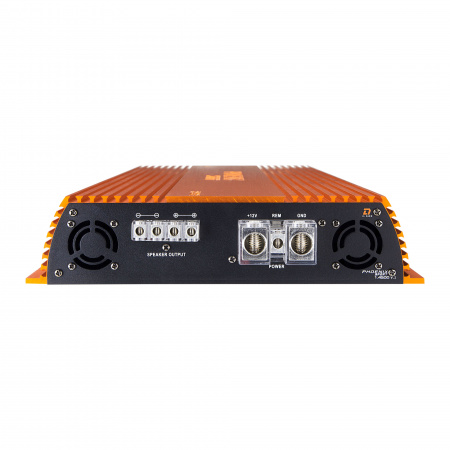 DL Audio Phoenix Sport 1.4500 V.2 1-канальный усилитель (Моноблок) – цена, описание и отзывы — фото