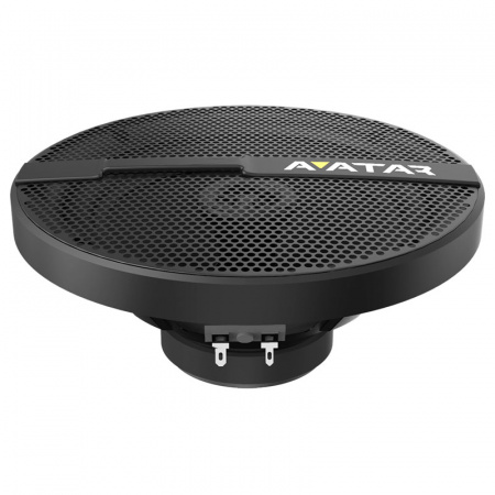 Avatar XBR-613 2-х полосная коаксиальная акустика – цена, описание и отзывы — фото