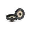 Focal IC MBZ100 V2
