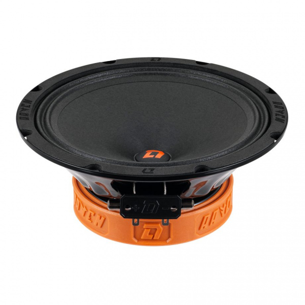 DL Audio Raven 200 V.2 Среднечастотник (среднечастотный динамик) – цена, описание и отзывы — фото