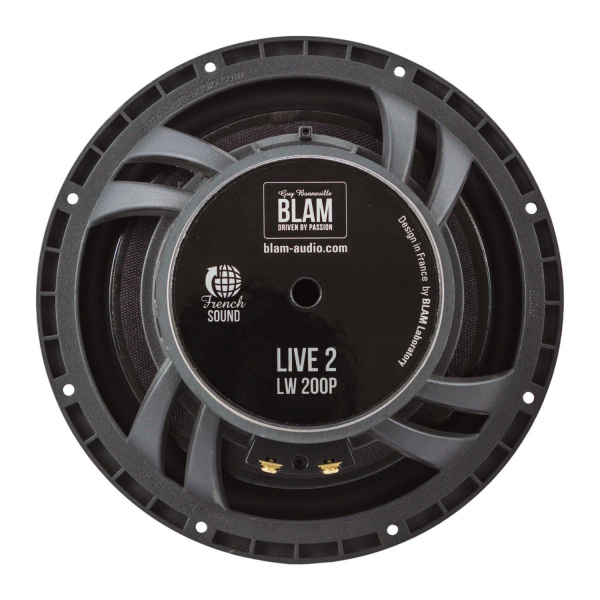 Blam L200P ACT 2-х компонентная акустика – цена, описание и отзывы — фото