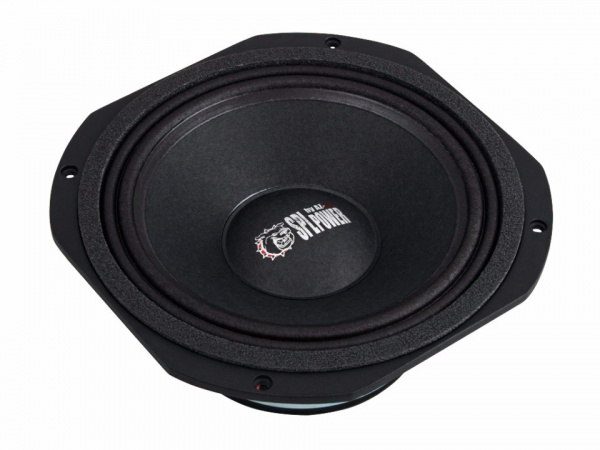 AZ-13 SPL Power PROFI GR-850NEO Среднечастотник (среднечастотный динамик) – цена, описание и отзывы — фото