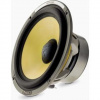 Focal MW ES165K (HPVE1078)