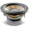 Focal P20FE Сабвуферный динамик – цена, описание и отзывы — фото