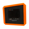 DL Audio Piranha 12A V.2 Orange Сабвуфер корпусной активный – цена, описание и отзывы — фото