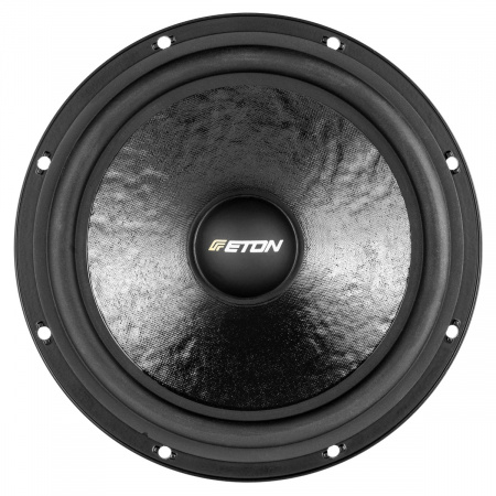 Eton PRO 16+ 2-х компонентная акустика – цена, описание и отзывы — фото